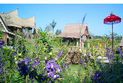 The Bali Times cover, Desa Seni, Bali