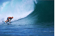 Uluwatu, Bali Surf, Steve