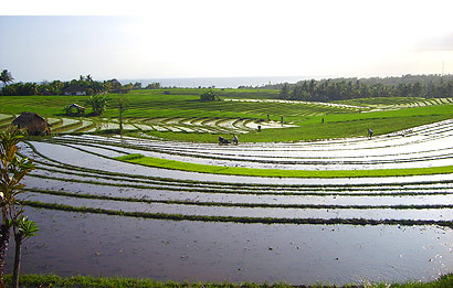 Tabanan Bali