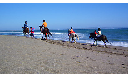 The Bali Times, Canggu