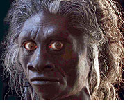Indonesian Hobbit Confirmed as New Species of Man