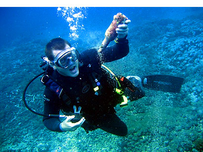 The Bali Times, ocean clean up