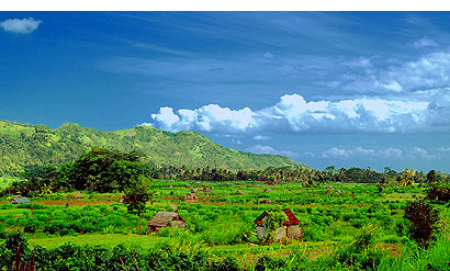 The Bali Times