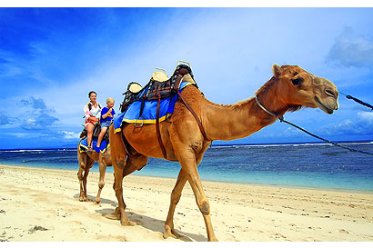 The Bali Times