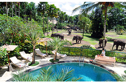 Bali Safari Park