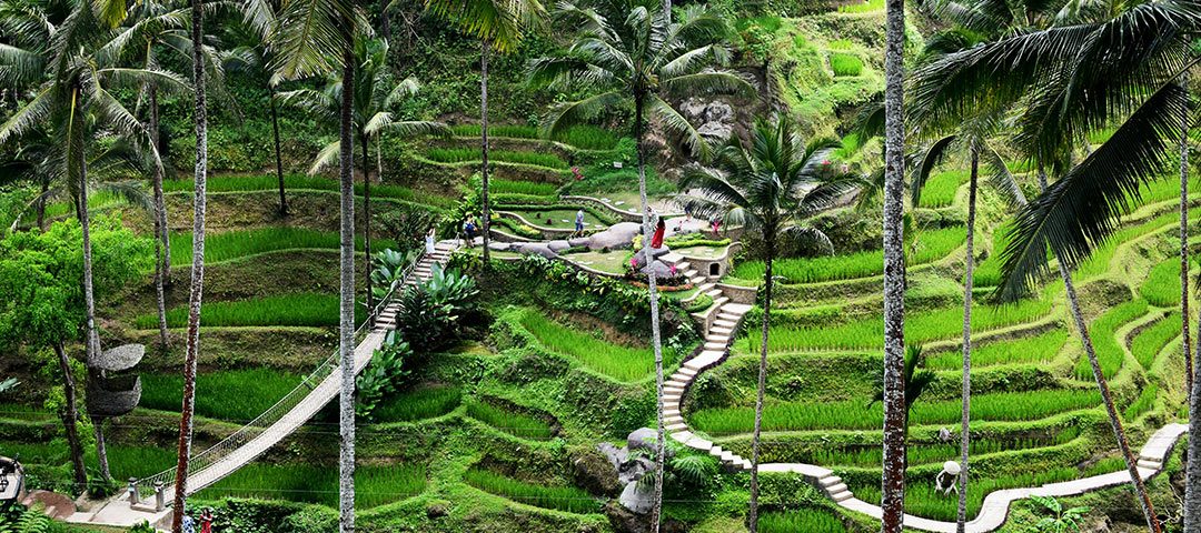 ubud