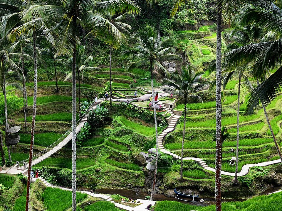 ubud